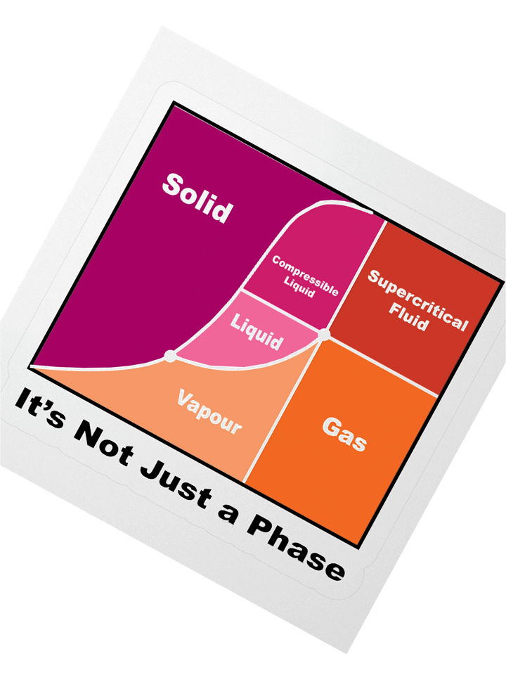 It's Not Just a Phase- Lesbian product image (2)