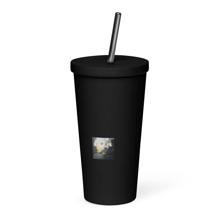 snowball tumbler product image (1)