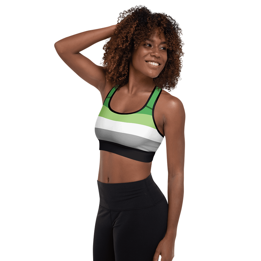 Aromantic Pride Flag Padded Sports Bra product image (5)