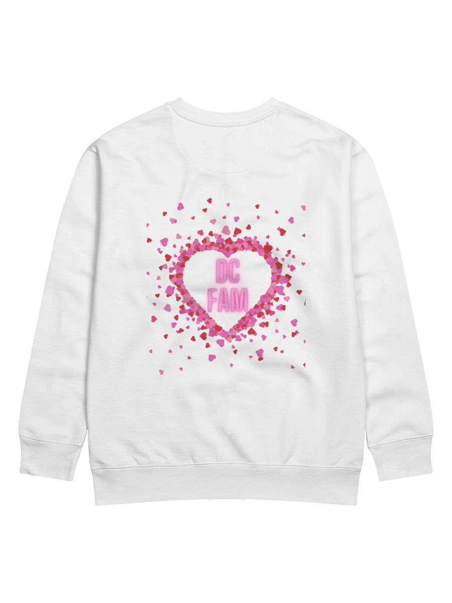 DCSweatshirt product image (2)