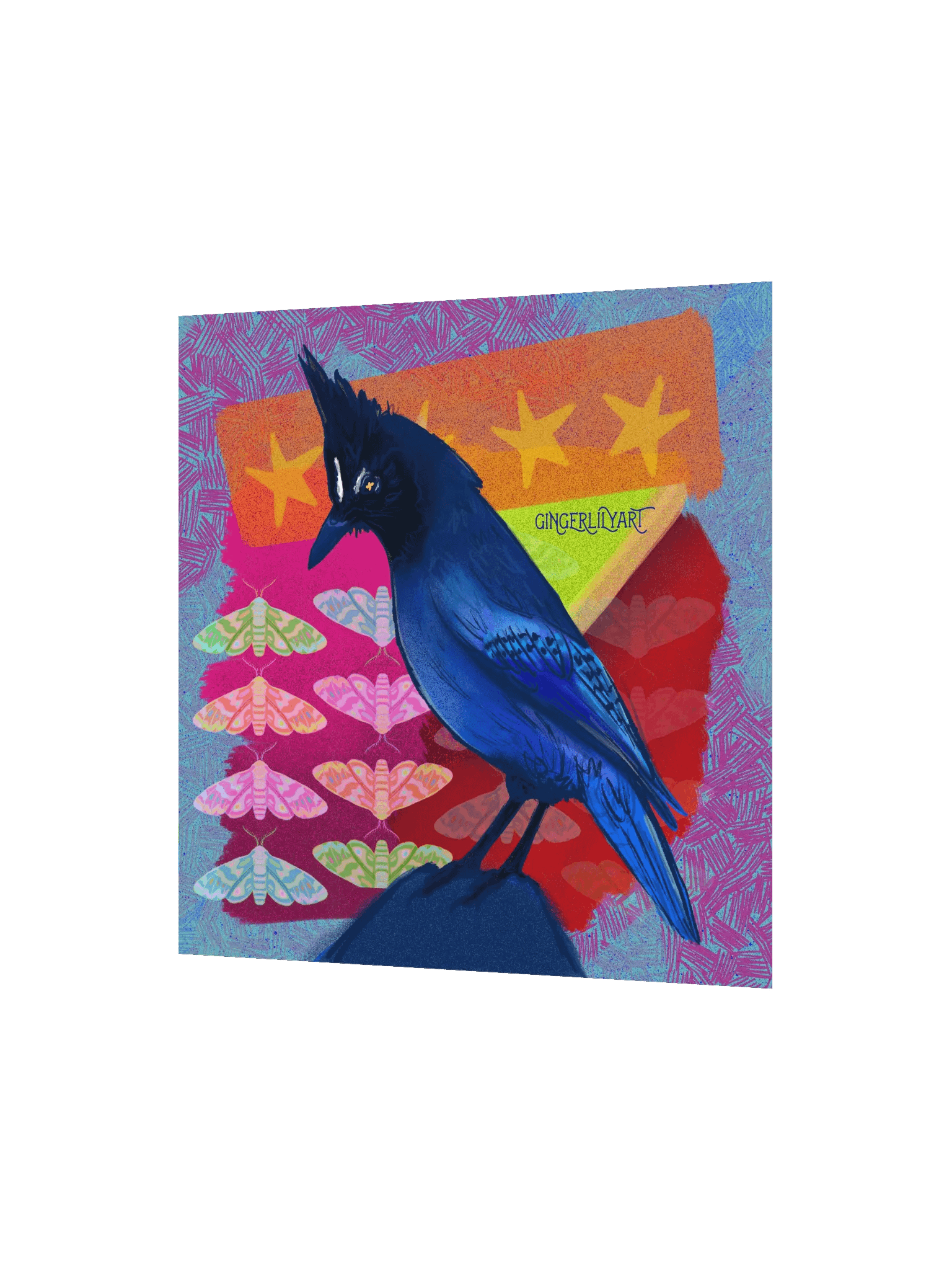 steller's jay print product image (6)