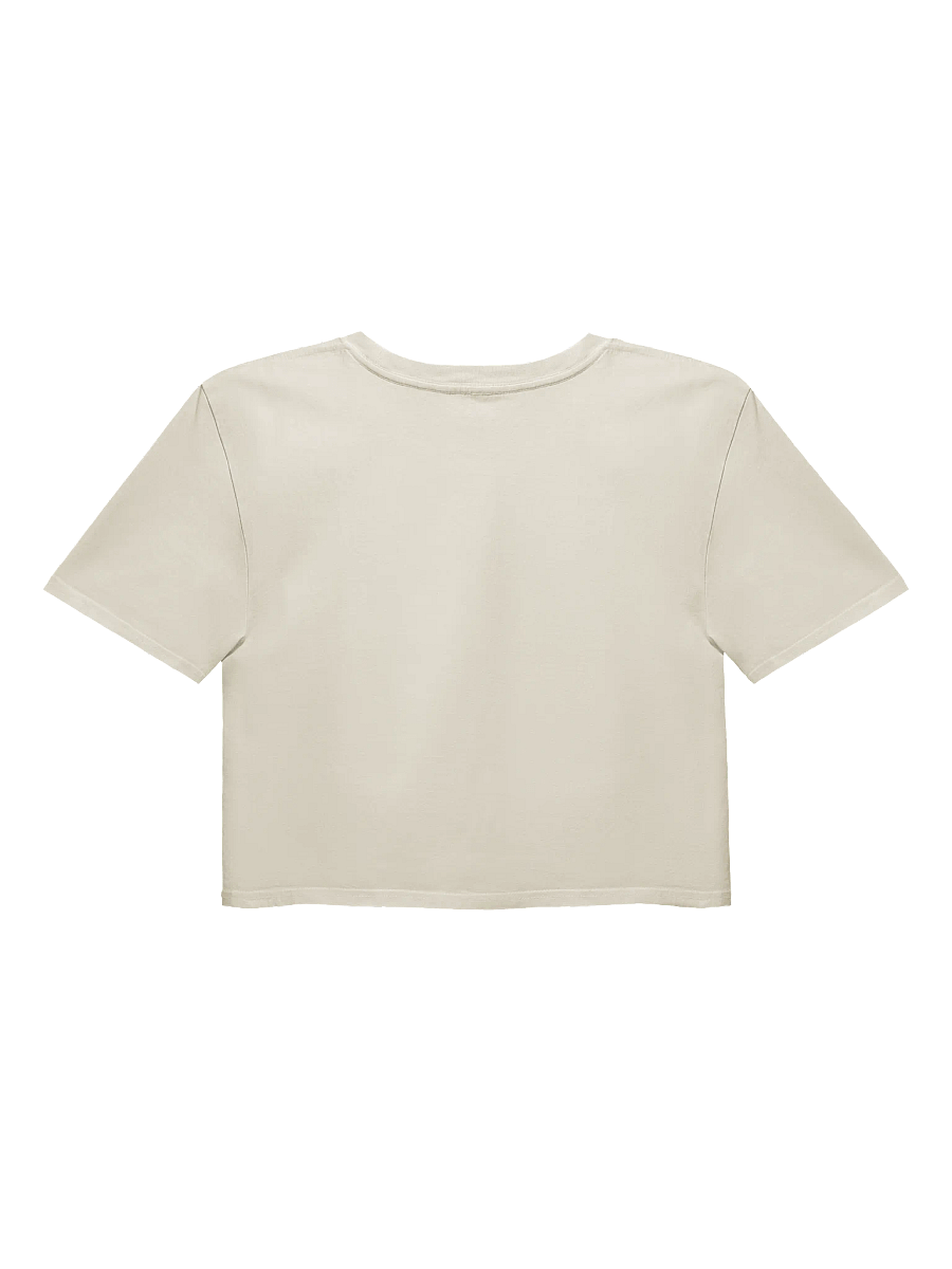 Stuck In This Paradigm Saturn Women's Crop Top product image (2)
