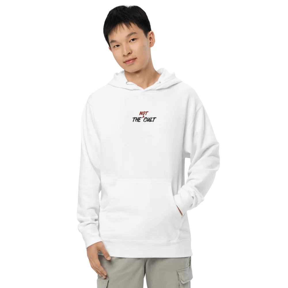 Not-Cult Embroidered Hoodie (LIGHT) product image (3)