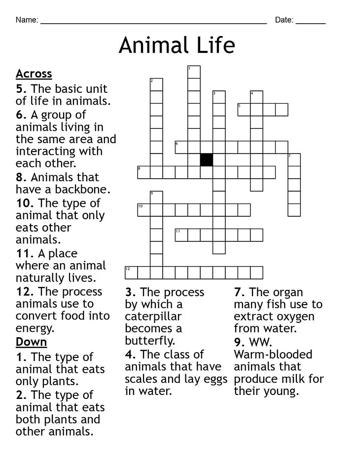 Printable Animal Life Crossword Puzzle product image (1)