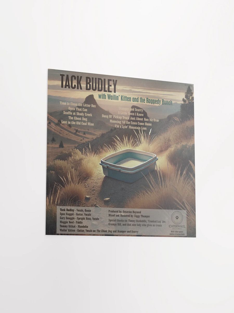 Tack Budley poster - Album jacket (back) - 12