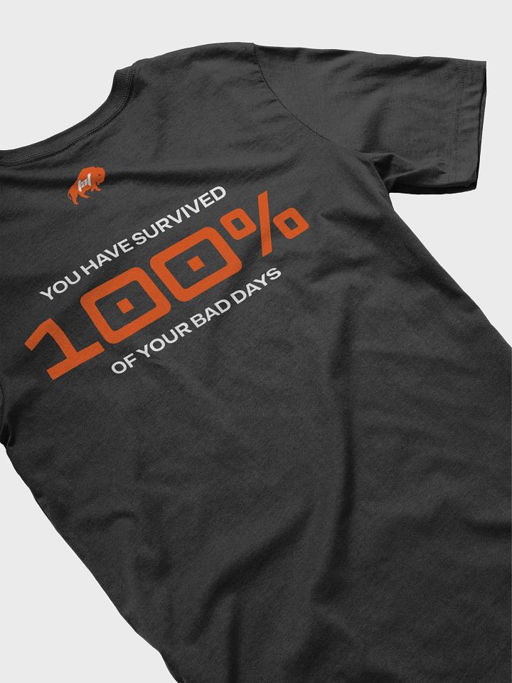 You've Survived Tshirt product image (101)