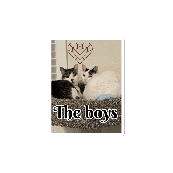 The boys magnet product image (2)