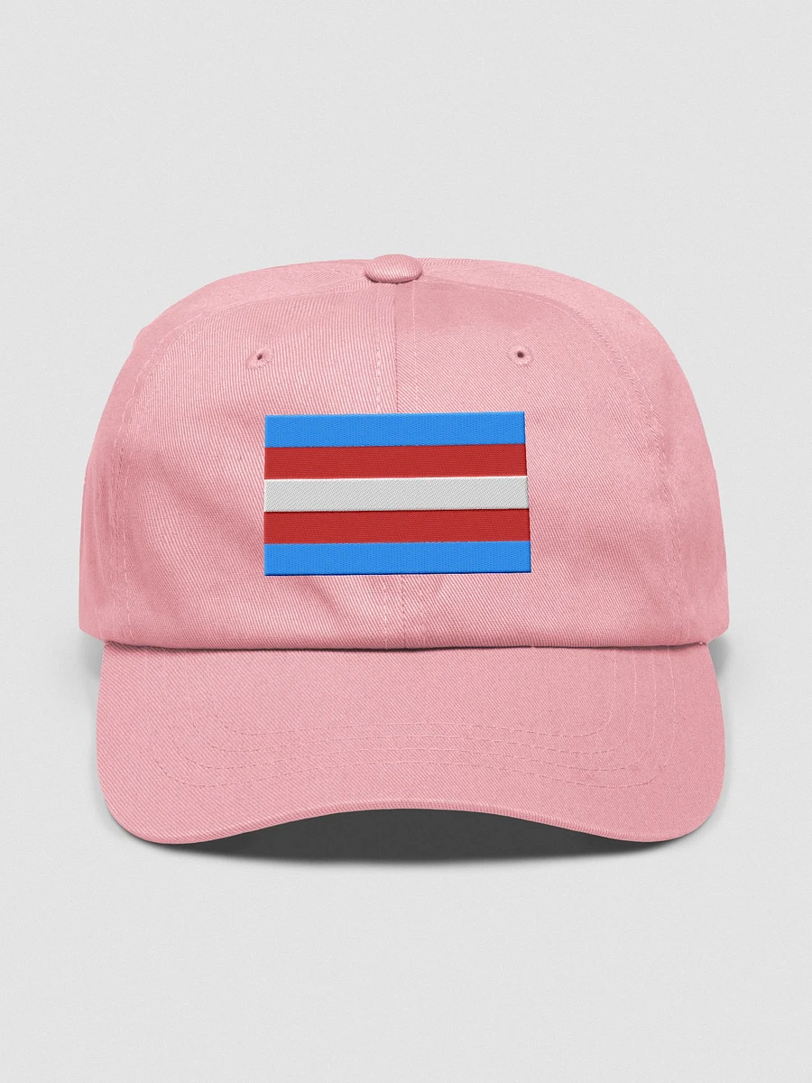 Trans Pride Flag - Embroidered Hat product image (1)
