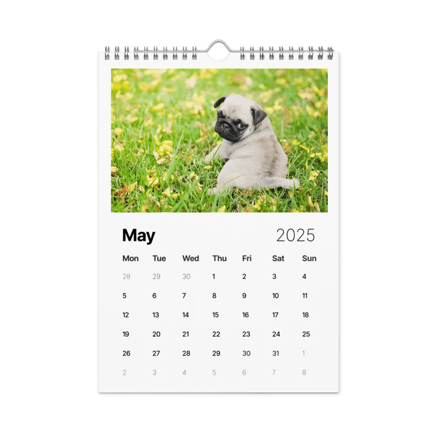 Pug Squad 2025 Customizable Wall Calendar product image (10)