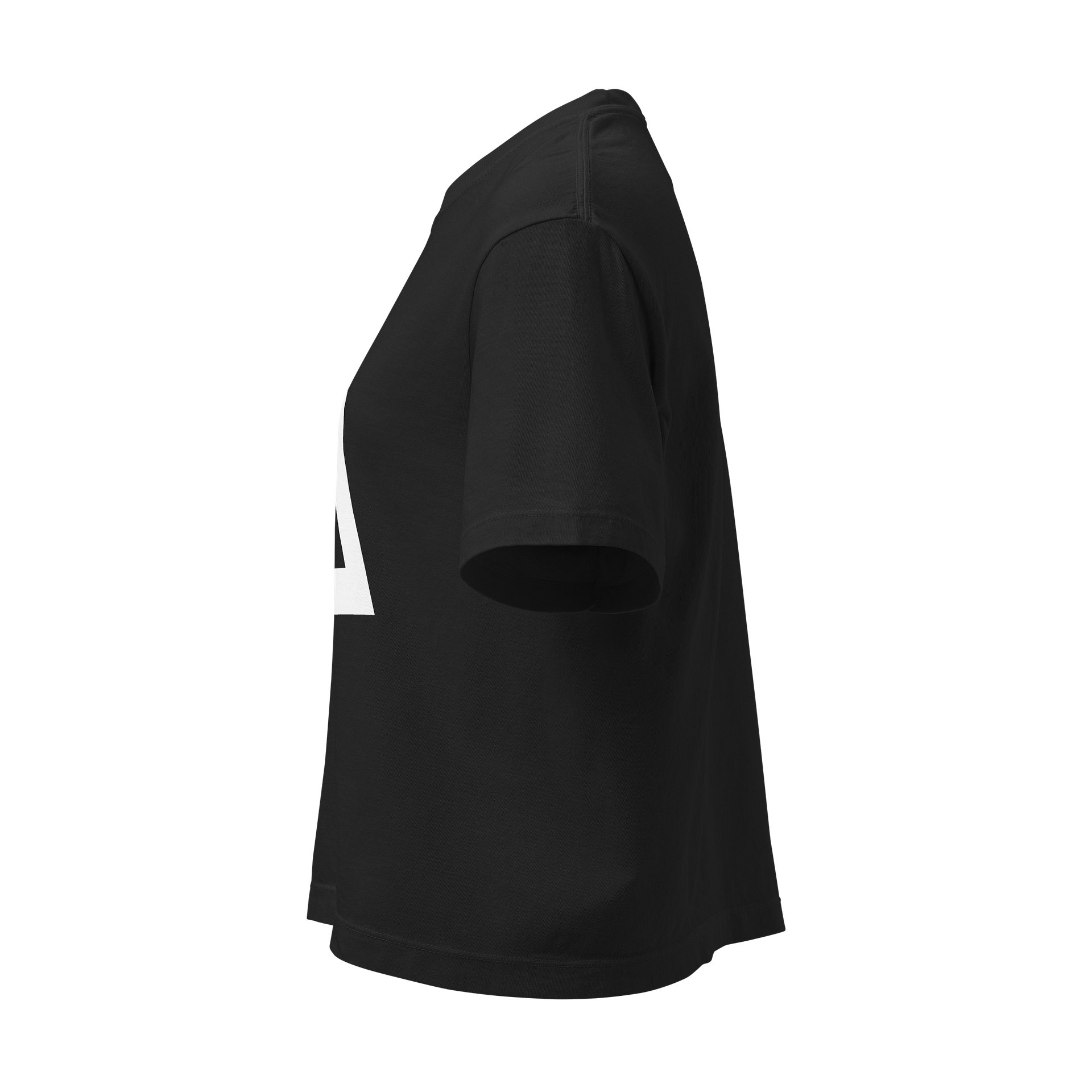 Women's Boxy Logo T-Shirt product image (3)