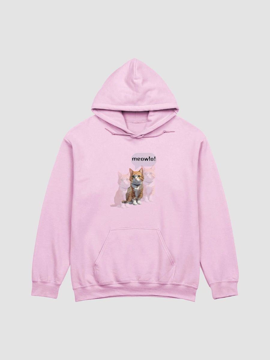 Meowlo! Cat Illustration Hoodie product image (3)