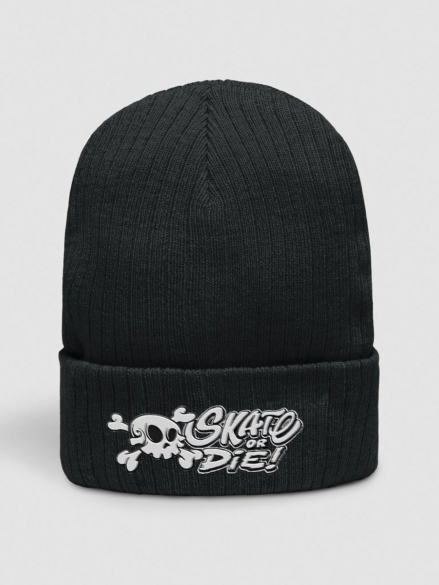 Skate Or Die! Beanie product image (1)