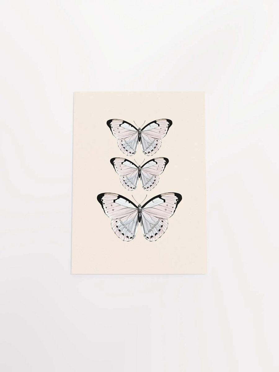 Butterfly Trio Matte Poster product image (34)