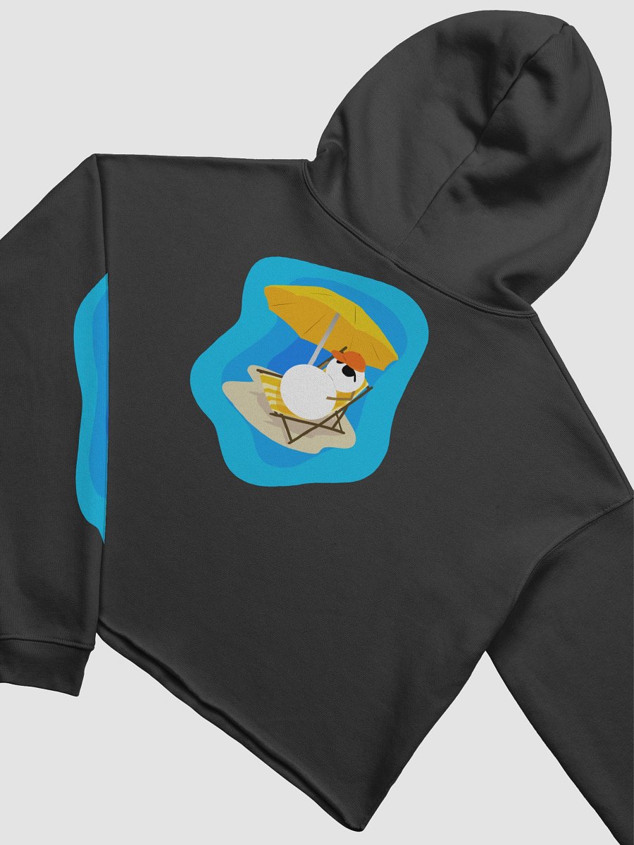 Frosty Relax Cropped Hoodie product image (4)