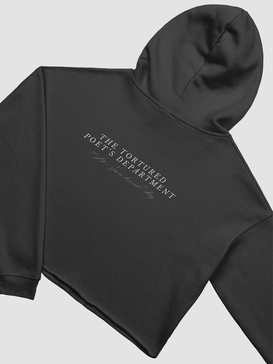 Poet Cropped Hoodie product image (4)