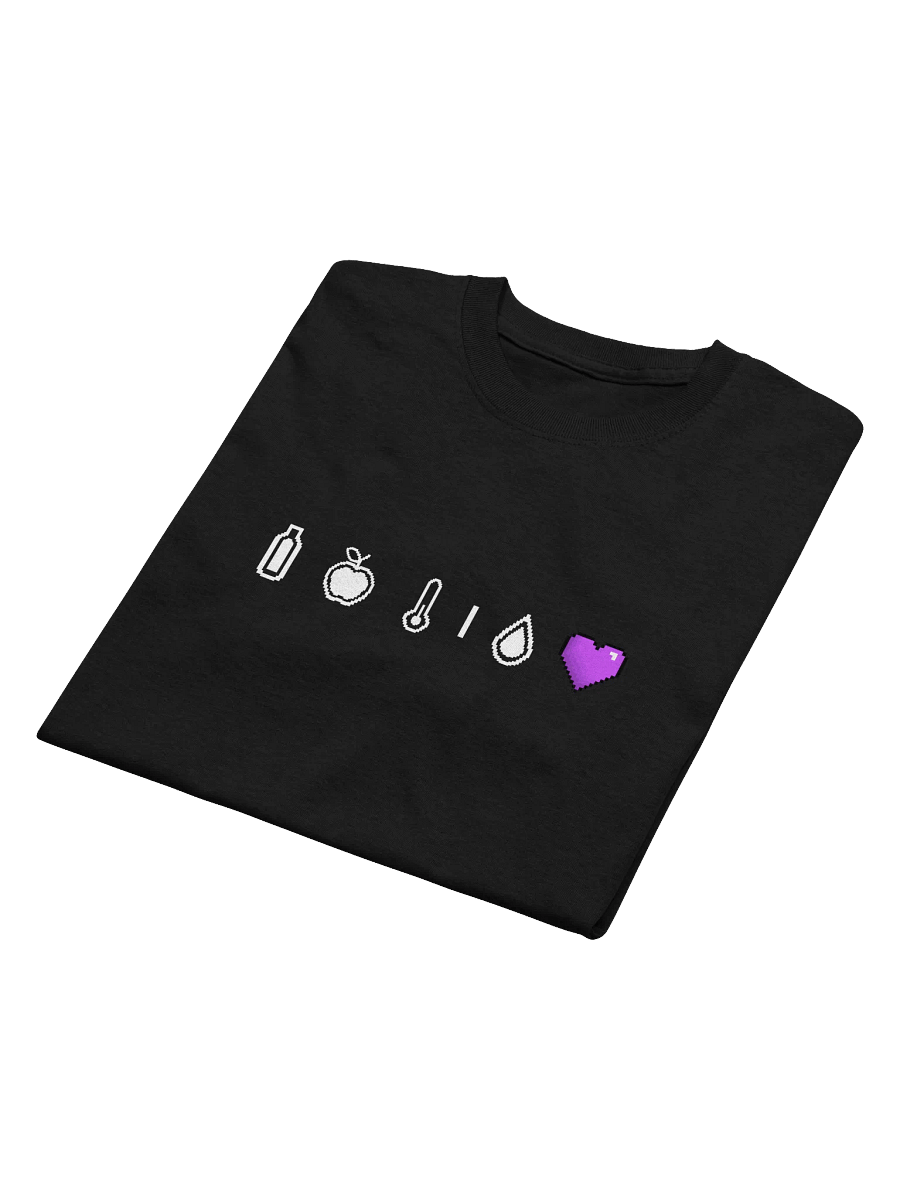 HollyRex DayZ Icons Heavyweight Tee product image (4)