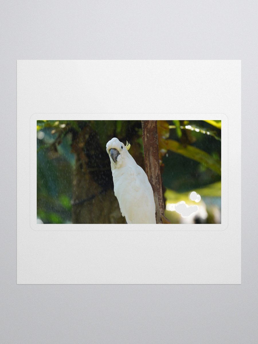 Crested Parrot Kiss Cut Stickers product image (1)
