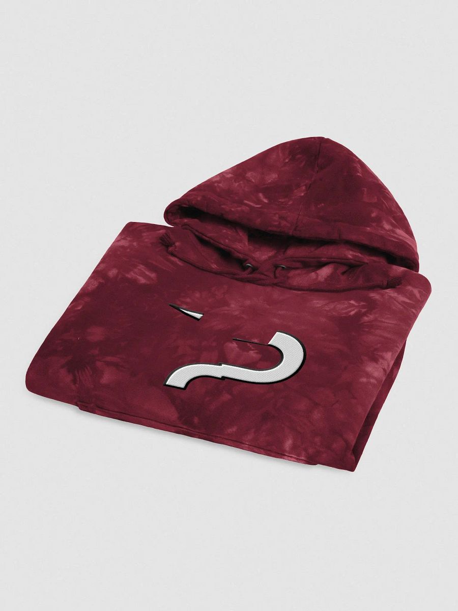 Profit x Champion Hoodie product image (4)