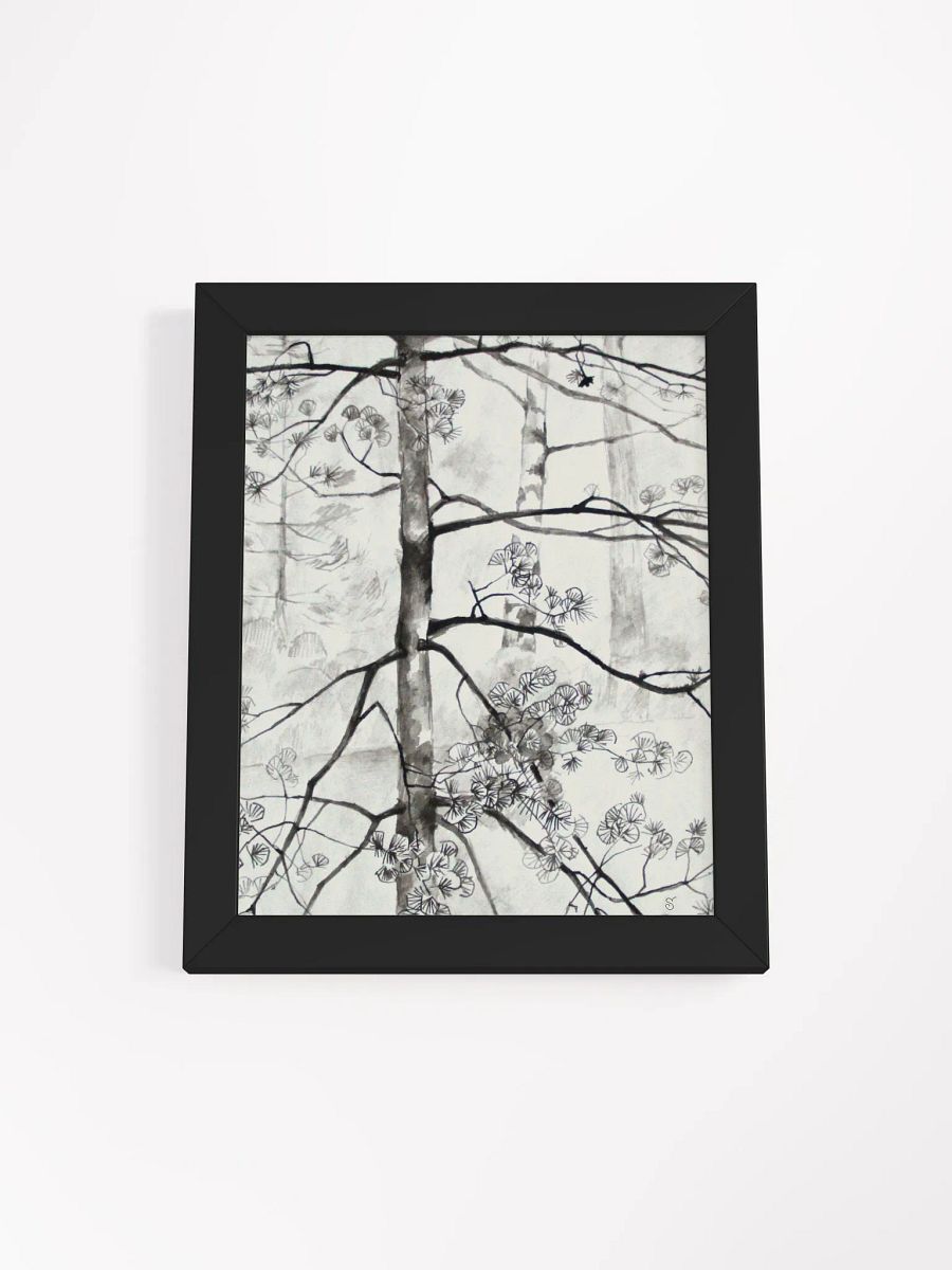Birch Trees Sketch Framed Poster - Birches product image (2)