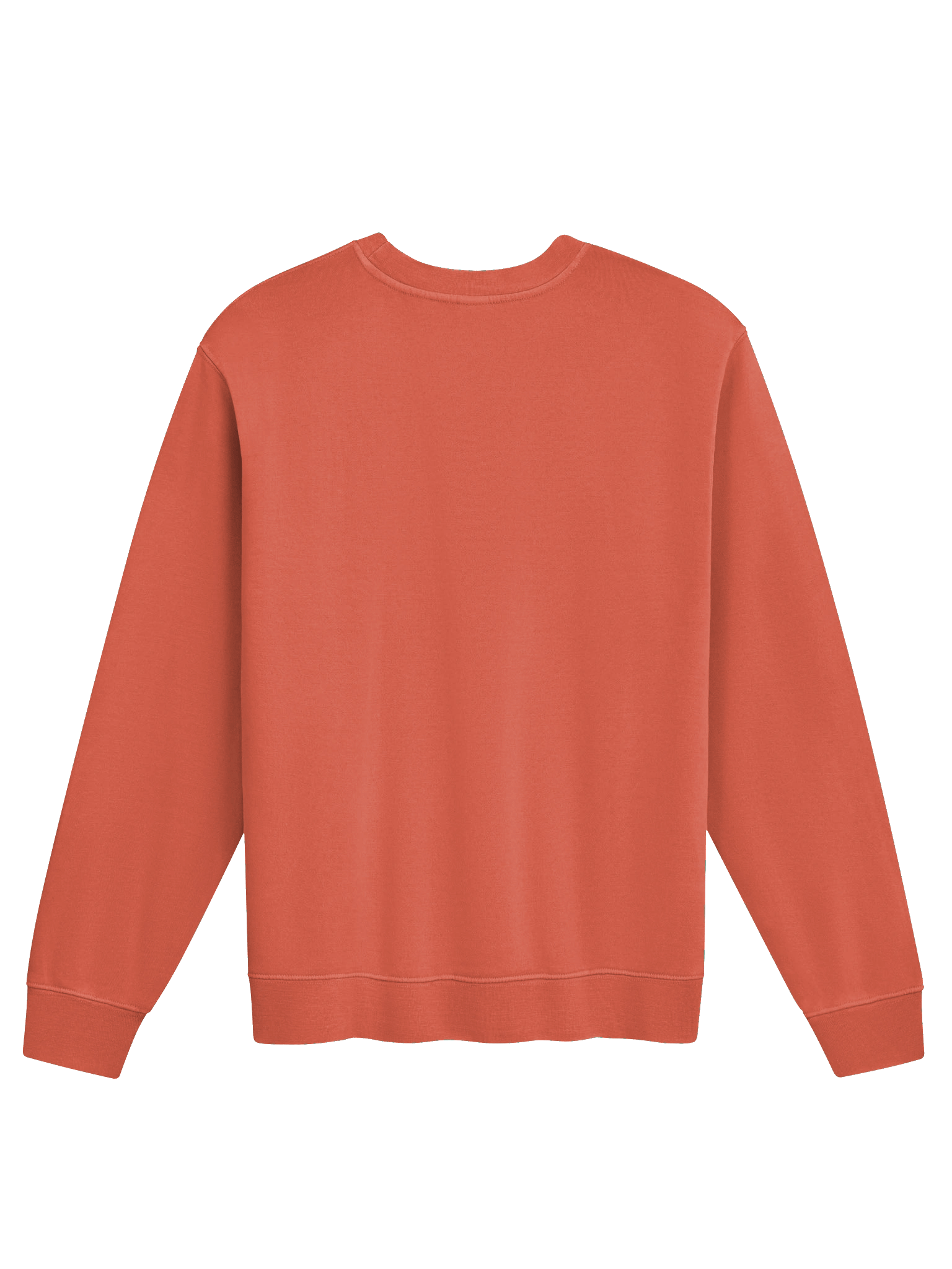 Ruidus Born - Sweatshirt product image (8)