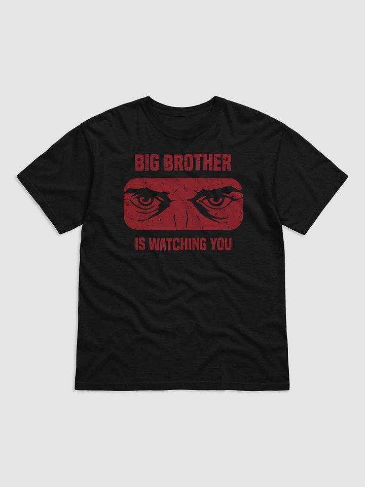 Big Brother Is Watching You T-Shirt product image (1)