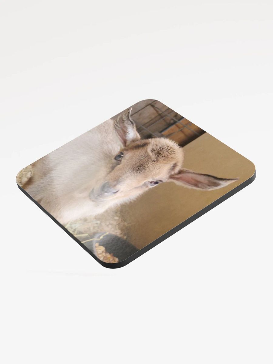 Baby Kiwi goat coaster product image (4)