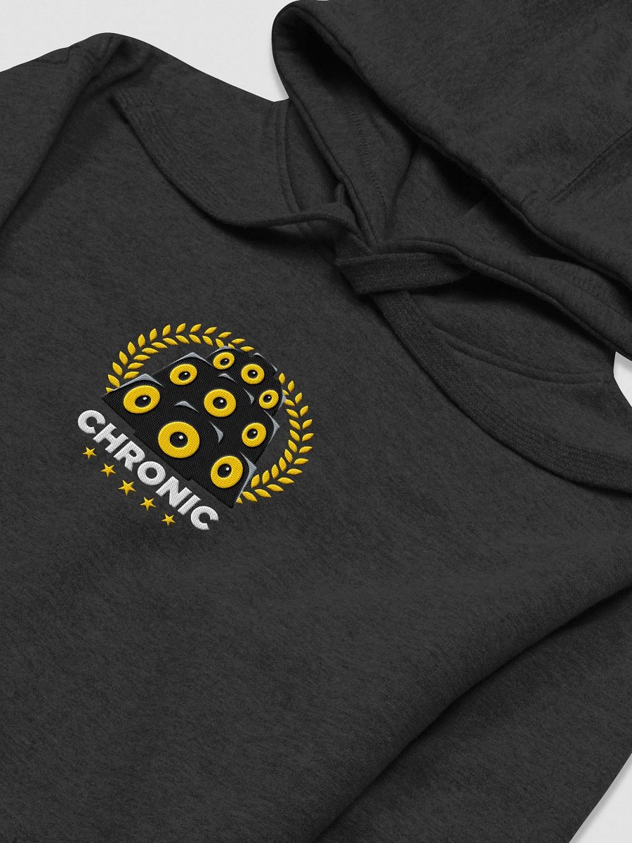 Chronic Sound Hoodie product image (31)