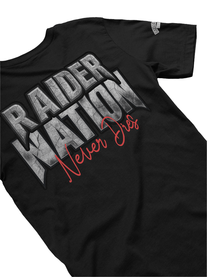 RAIDERS Skull Strike | Las Vegas | NFL Home Locker product image (2)