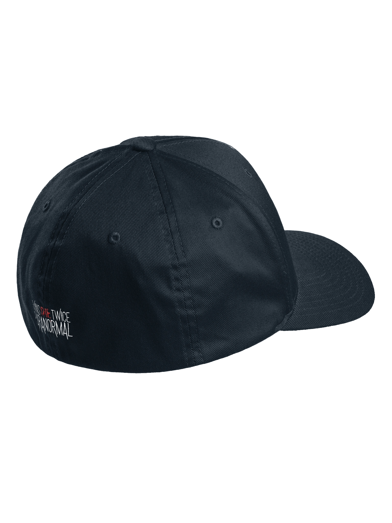 Channel Logo Flexfit Baseball Cap product image (3)