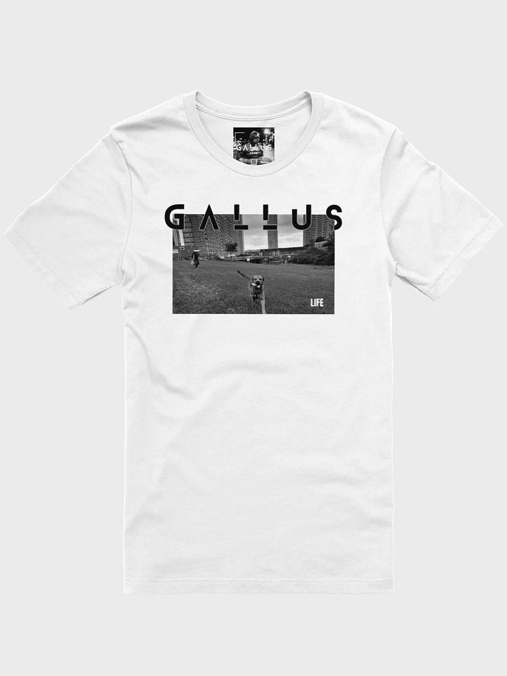 Gallus 2025 Life Collection product image (47)
