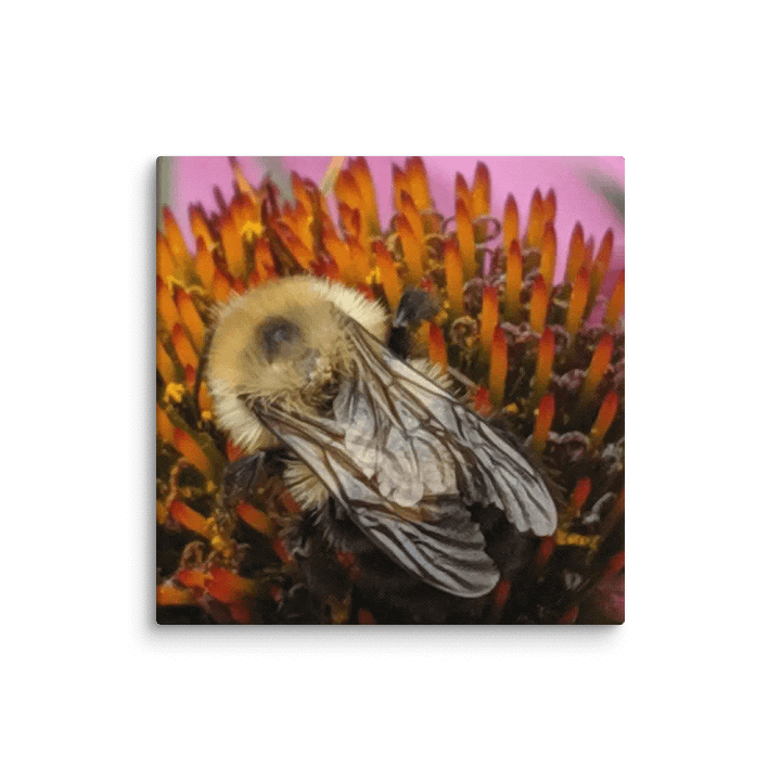 Bumble Bee product image (9)