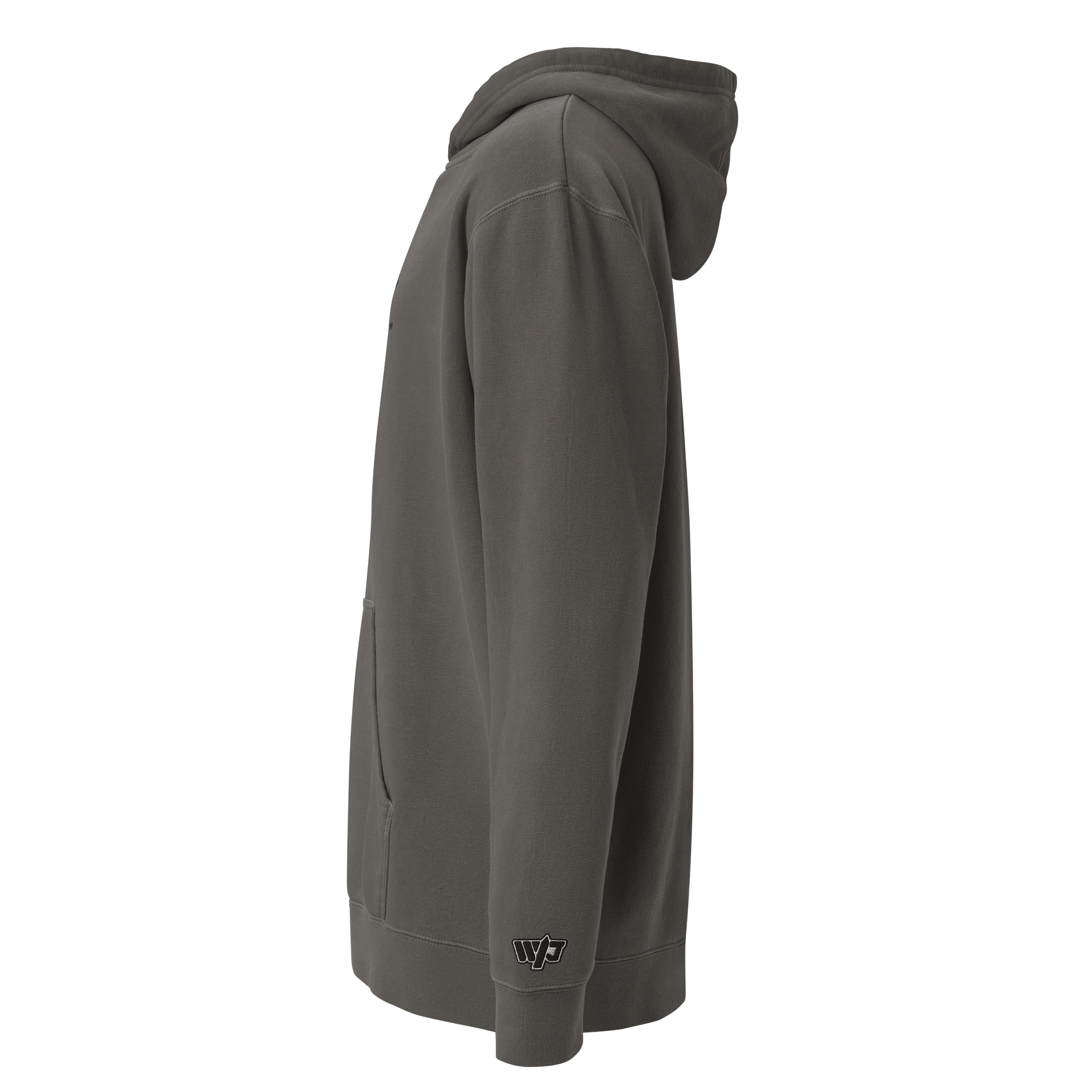 Stealth "not an expert..." Official Heavy Weight Hoodie product image (14)