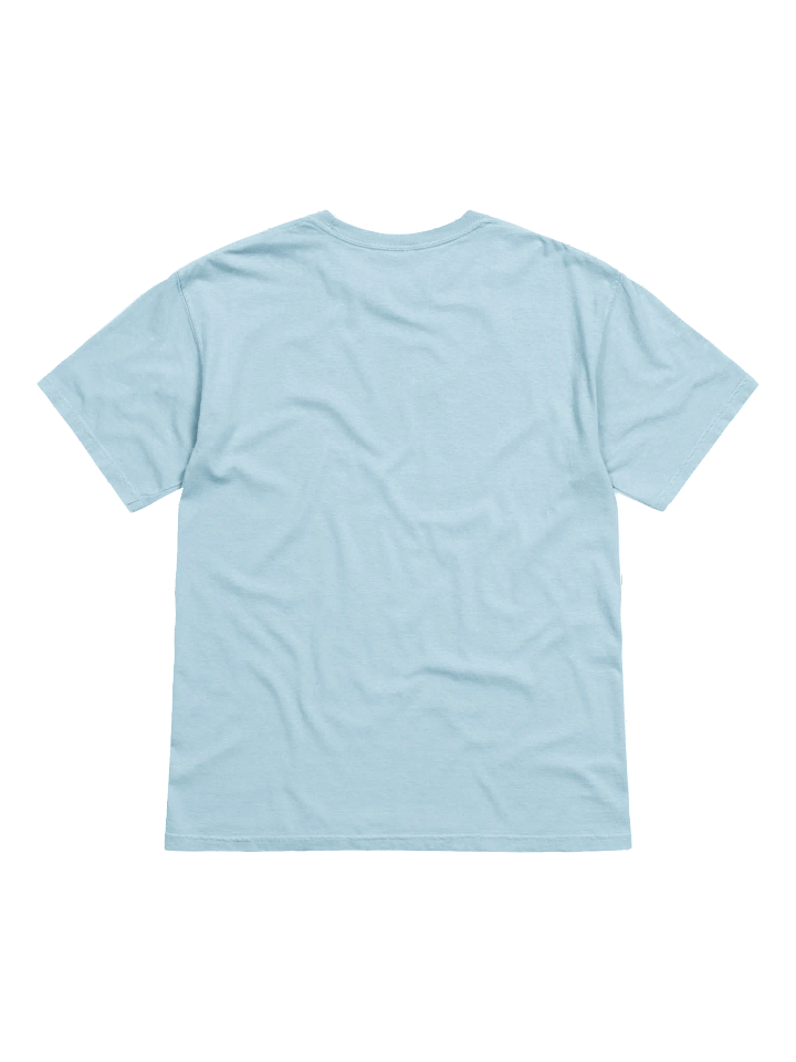 America Needs ANP (Color) - Heavy T product image (4)
