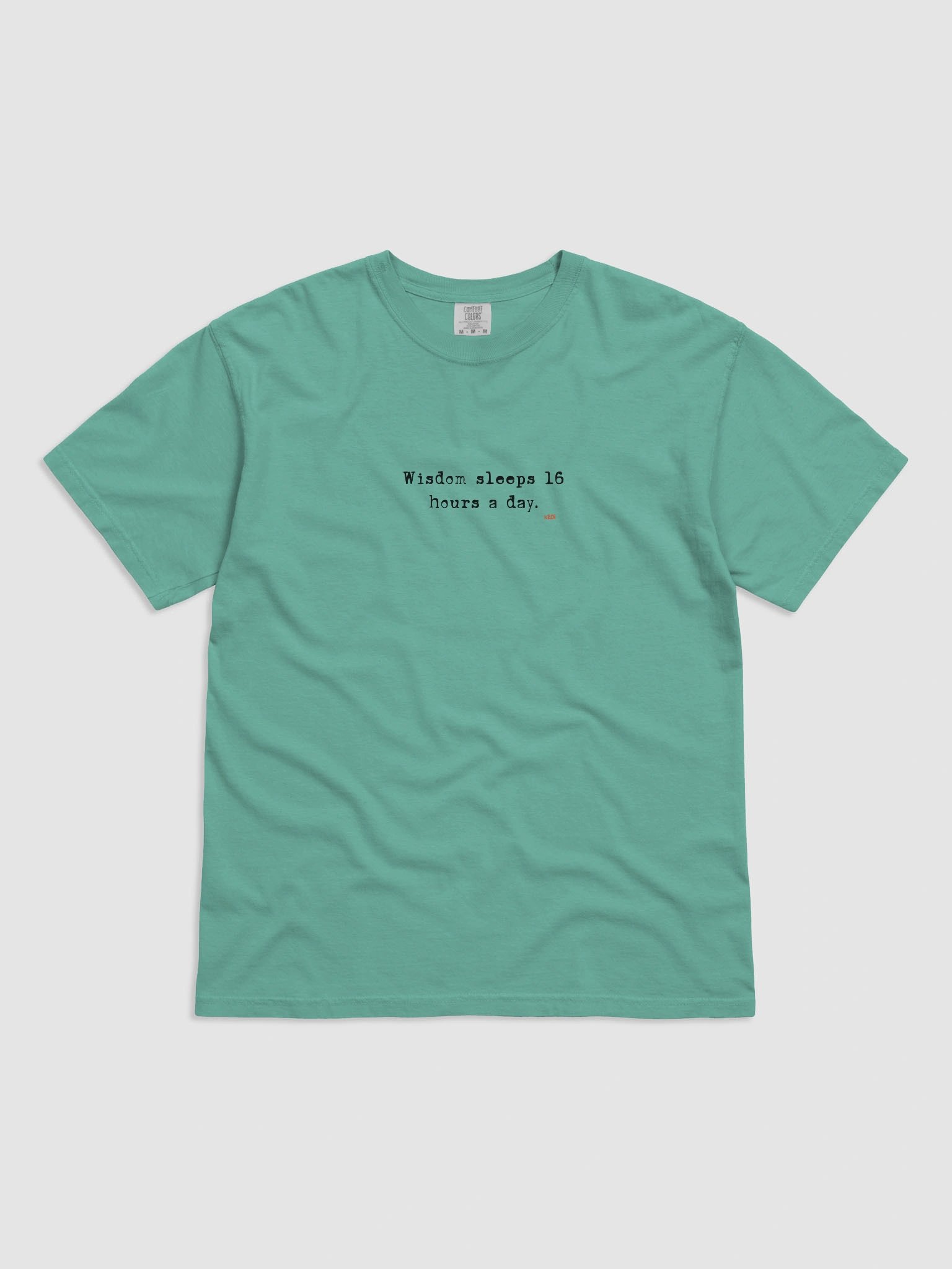 Cat Wisdom Comfort Tee product image (101)