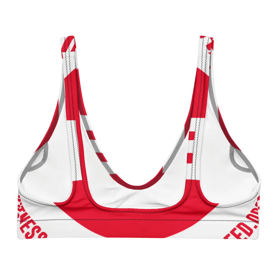 IFBNewsfeed.Org's All-Over Print Recycled Padded Bikini Top product image (1)