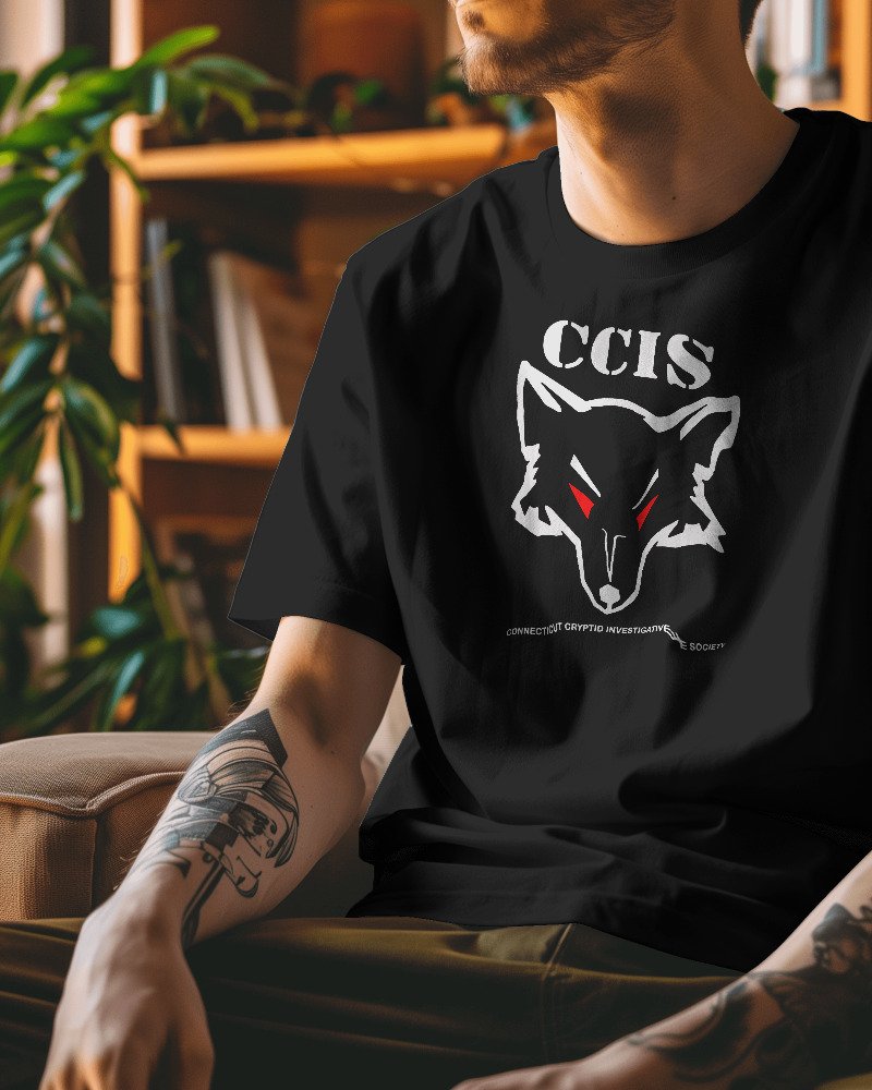 CT Cryptids Unisex Heavyweight T-Shirt product image (1)