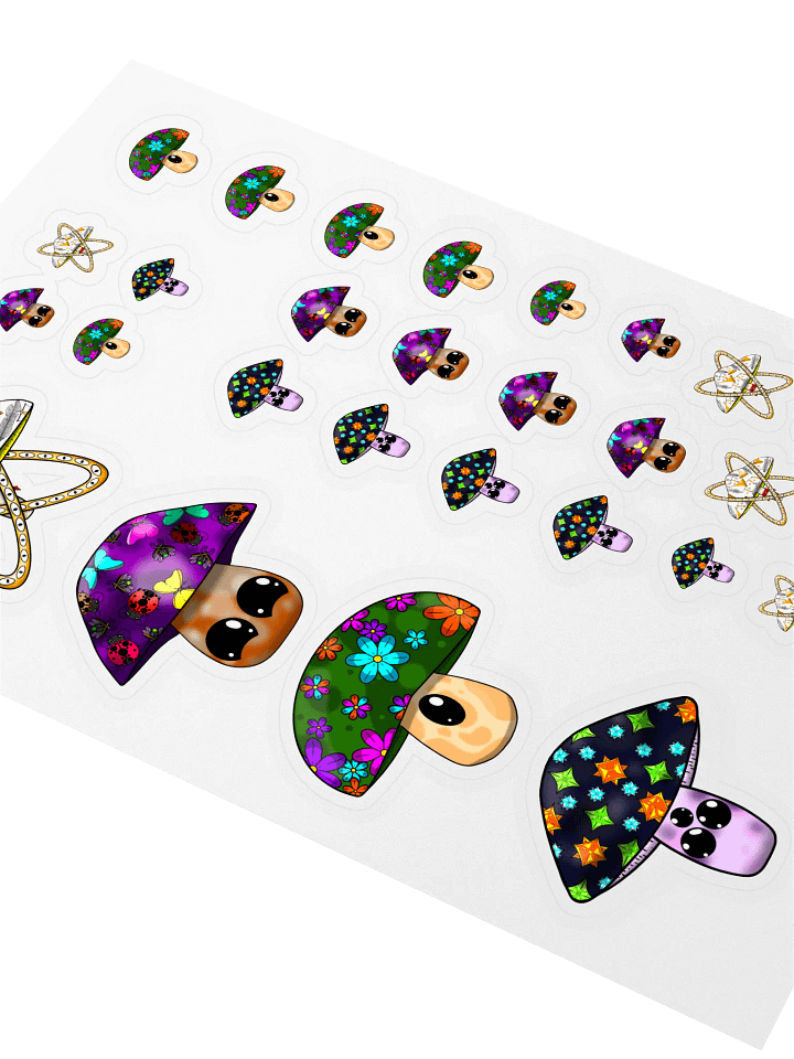 The Mushroom Collection Season 1 product image (2)