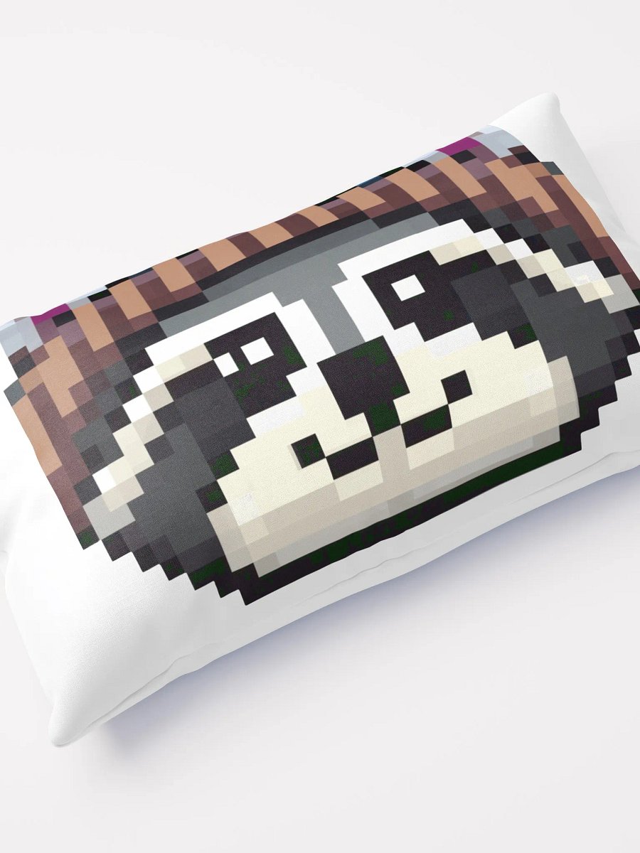 Trash Bandit Pillow product image (11)