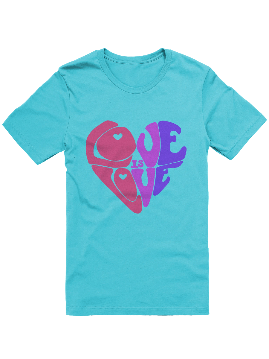 Bisexual Love is Love big print tee product image (1)