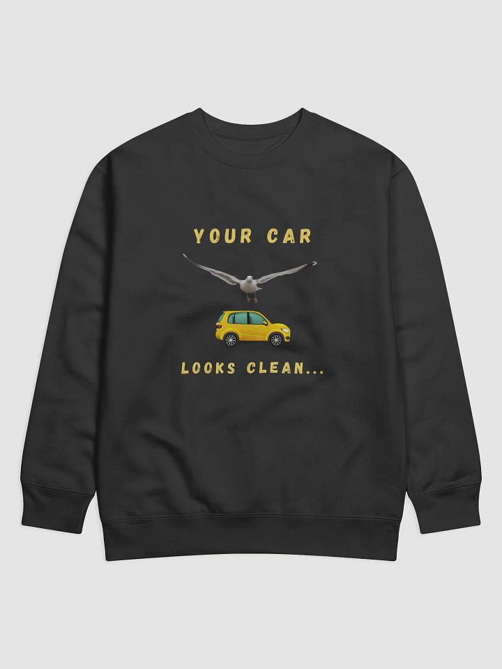 Your Car Looks Clean... Seagull Sweatshirt product image (1)