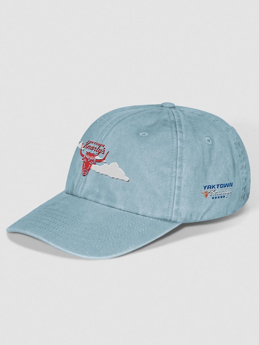 Yaktown Knarly's Dad Cap (Baby Blue/red) product image (3)