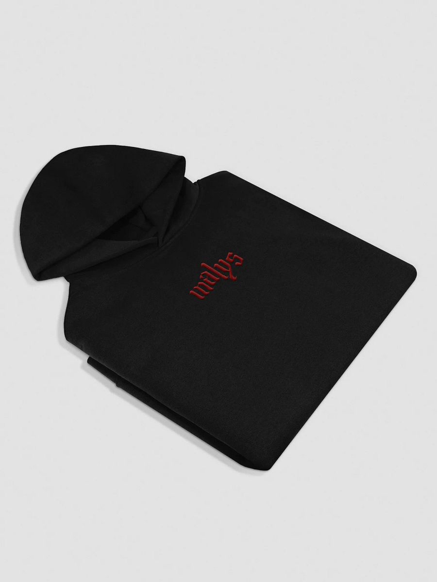 Malys Embroidered Hoodie product image (4)