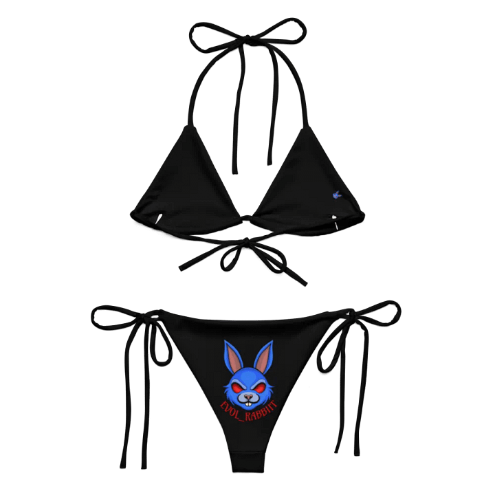 Evol Bikini product image (2)