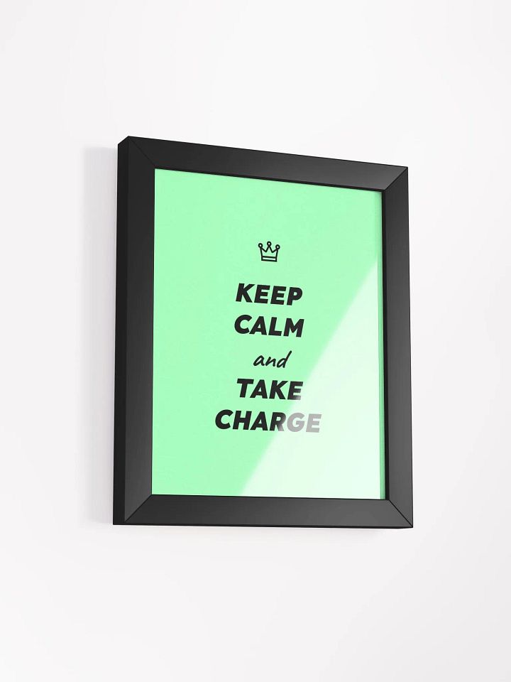 Keep Calm and Take Charge poster product image (45)
