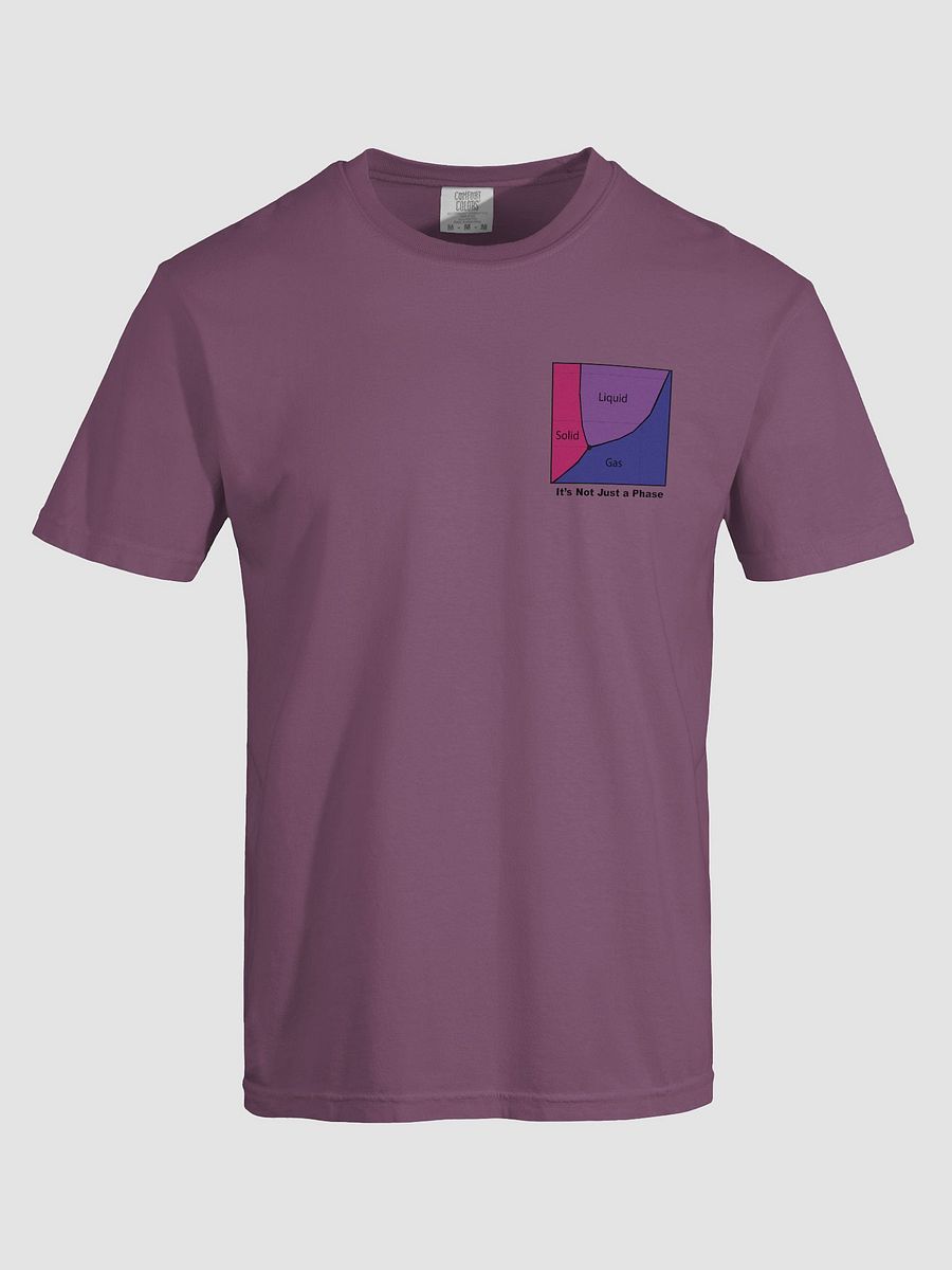 It's Not Just a Phase- Bi T Shirt product image (45)