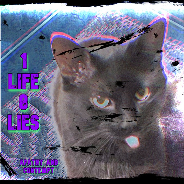 1 Life 8 Lies product image (1)