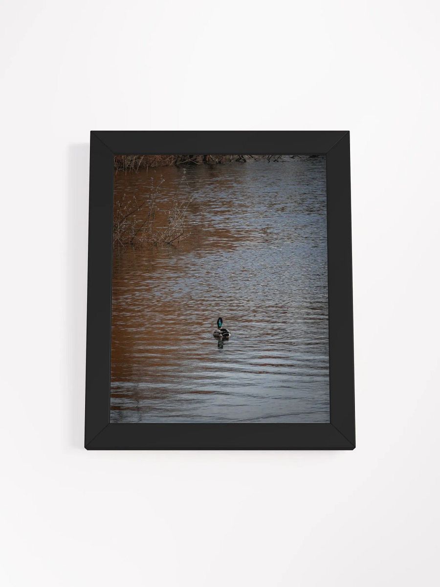 Duck Canvas product image (76)