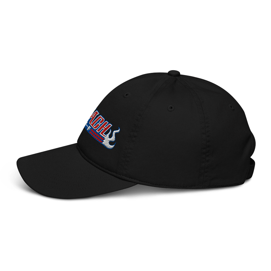 Bleach Flames Organic Dad Hat product image (3)