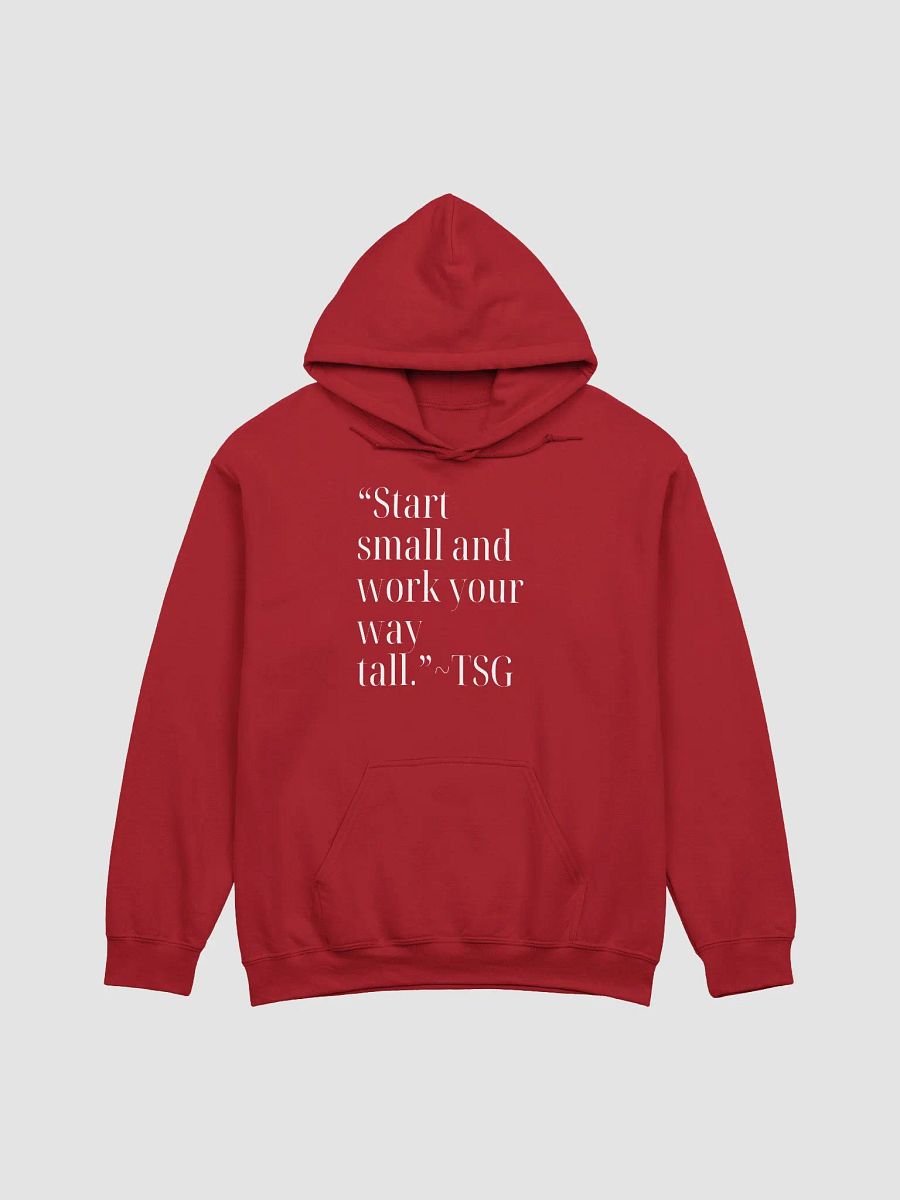 Start Small Hoodie(Gildan Classic) product image (3)