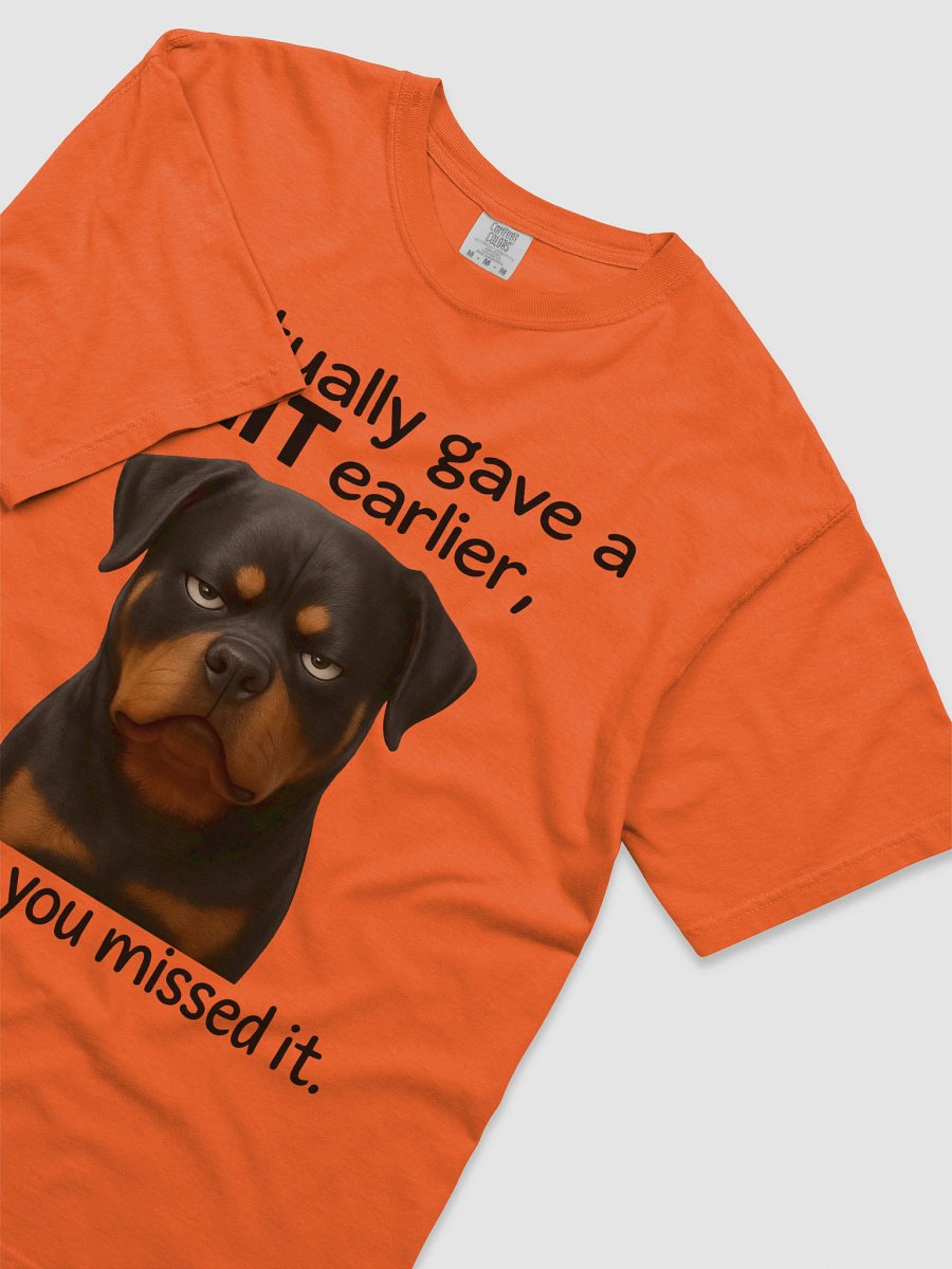I Actually Gave a Shit Earlier, I Guess You Missed It product image (29)